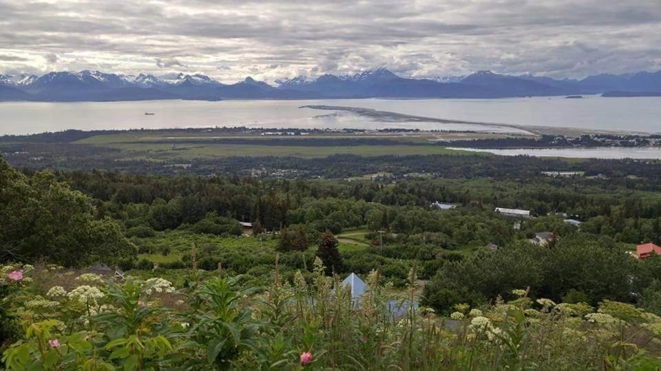 Lakeshore Lodging Suites ホーマー エクステリア 写真